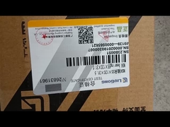 لیونگ این اس کی