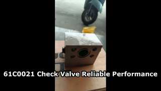 61C0021 check valve