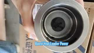 Piston SP134118C