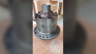 LIUGONG 41C0087T0 DIFFERENTIAL ASSEMBLY