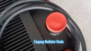 LIUGONG 20C0641 WATER RADIATOR