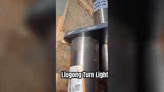 LIUGONG 11D1309 PINS 
