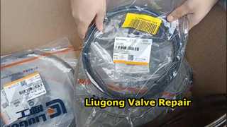 Oil Seal