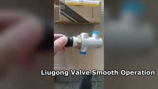 LIUGONG 13C0059 PUSH BOTTON VALVE